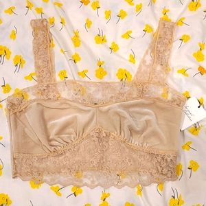 NWT SM Lace Champagne Crop Bralette Top